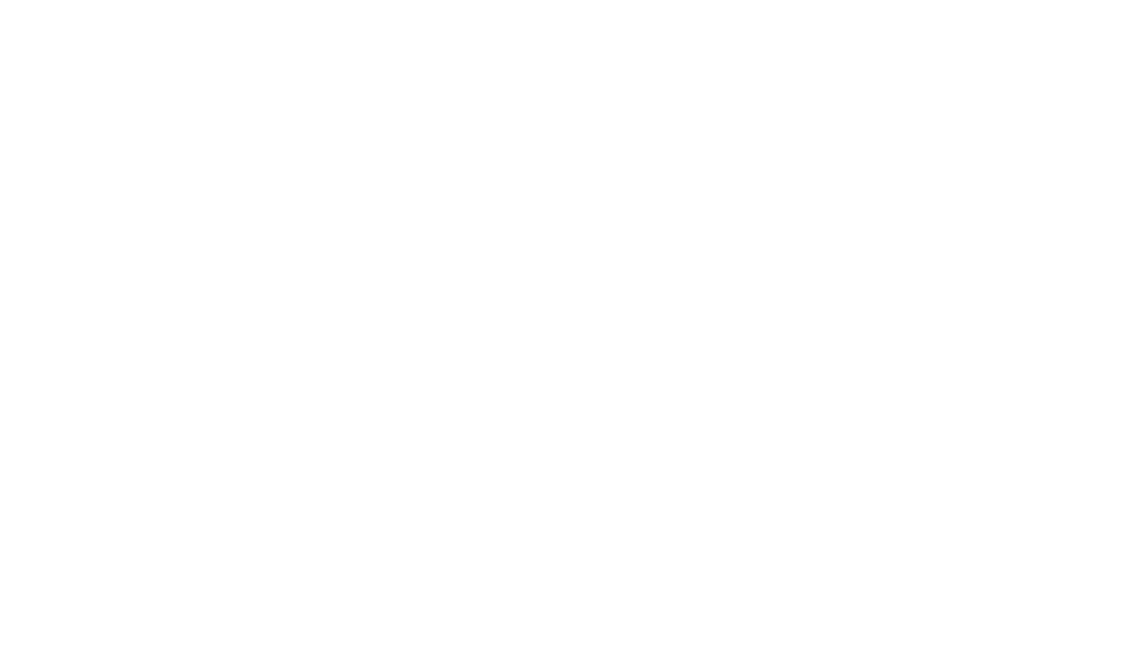 Connecticut Business Link LLC logo